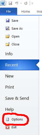 microsoft word file menu